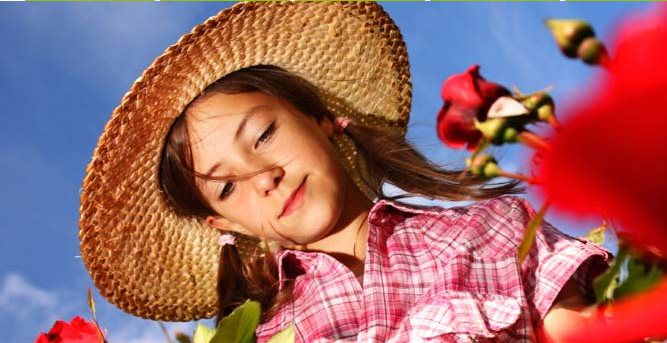 Offre Jardinerie Koeman