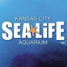 Save 25 Off By Using Sea Life Kansas City Coupon Promo Codes - reed roblox promotions