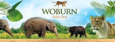 woburn safari code