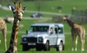 promo code for woburn safari park